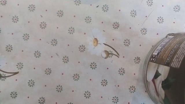 Для турпохода сделал "супер" примус!!! смотреть онлайн