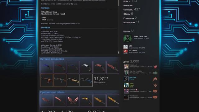 🔥 ПОТРАТИЛ 100000$ В СТИМЕ (TOP 5 STEAM LEVELS 2017) смотреть онлайн