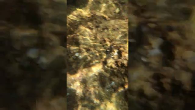 Море на побережье Коста Дорадо Салоу смотреть онлайн