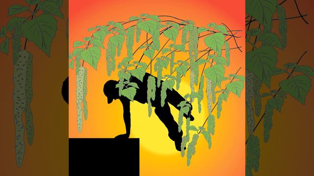 65 Region смотреть онлайн