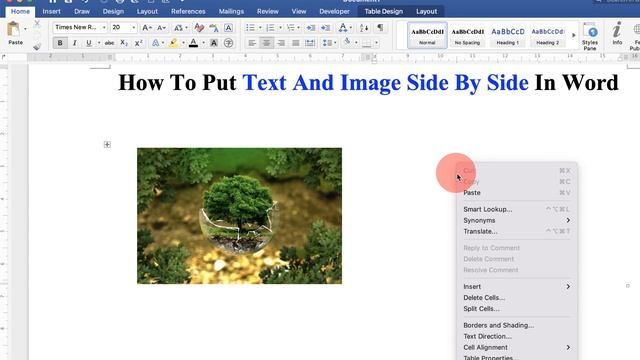 How To Put Text And Image Side By Side In Word смотреть онлайн