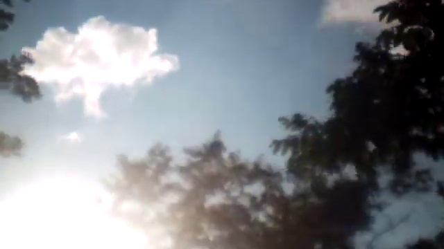 down in the valley harmonica and bass смотреть онлайн