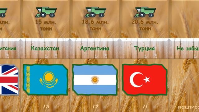 Рейтинг стран по производству пшеницы смотреть онлайн
