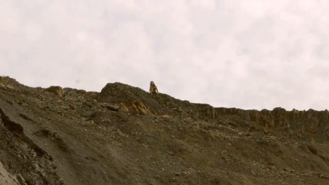 постапокалиптическая Love story смотреть онлайн