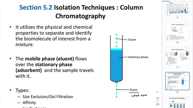 CHEM205_CH5 Protein Purification and Characterization Techniques Part 2 смотреть онлайн