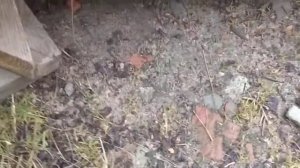 шуруповёрт для домкрата