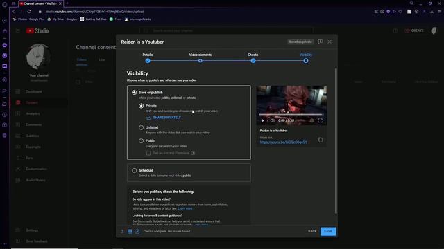Raiden is a Youtuber смотреть онлайн