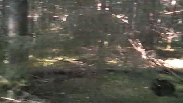 В ЛЕС, ЗА ГРИБАМИ!!! ГРИБАЛКА 2020!!!