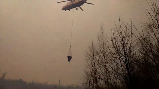 Секреты пирожков