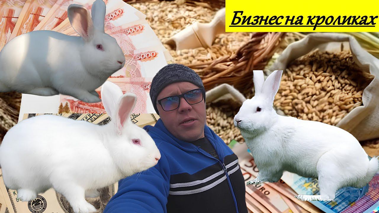 От Кормления до Кошелька Какой комбикорм и себестоимость. From Feed To Purse What Feed And Cost