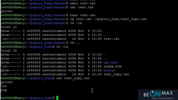 LINUX/GIT для начинающих. Урок #4.  Команды терминала Linux: CP и MV