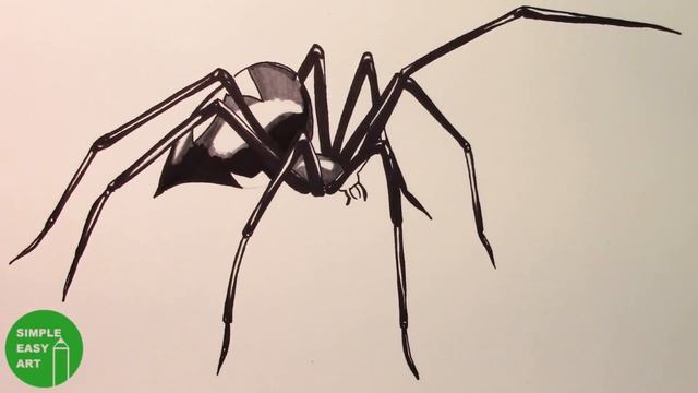 WILL IT BITE?! - Black Widow Challenge 3D Spider Drawing Trick Art