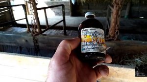 Откорм бычков