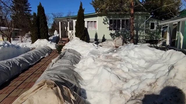 Как выглядят укрытия с розами на 21 марта. Удалось заглянуть под укрытия.