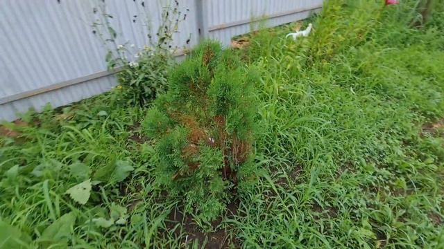РЕМОНТ В ДЕТСКОЙ, СПАСЛА ОГУРЦЫ, ПОЧЕМУ ДОЛГО НЕ СНИМАЛА смотреть онлайн