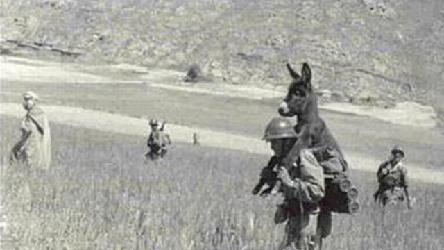 Ленивая задница или противопоказания для похода к психологу! смотреть онлайн