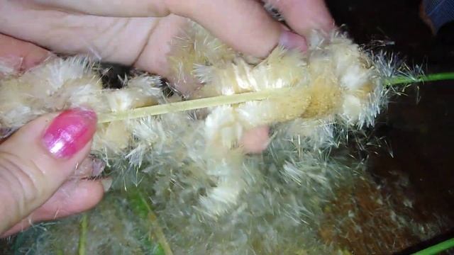 Денег нет, чем набить подушку? Лайфхак! смотреть онлайн