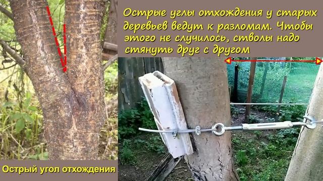 Садовые забавы декабря и список дел смотреть онлайн