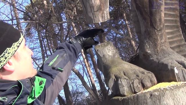 Парк лесоводов, языческие идолы, рифейская мифология смотреть онлайн