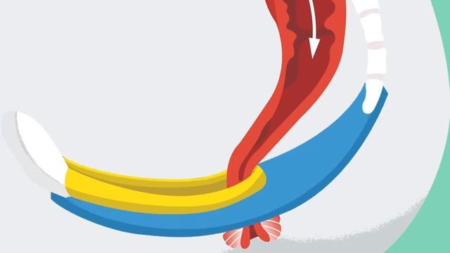 упражнение кегеля изнутри видео