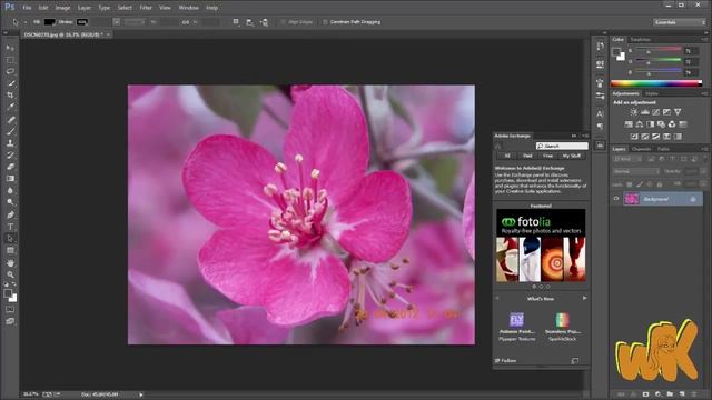 Adobe Photoshop CC, Tutorial working with presets, Basic course in english, chapter 5 смотреть онлайн