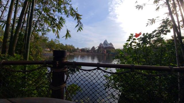 🔴 LIVE: Answering Your Disney Vacation Club Questions at Animal Kingdom смотреть онлайн