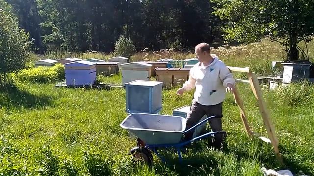 Садовая тачка превращается в тележку пчеловода. смотреть онлайн