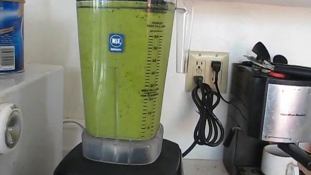 Waring Raptor MX1000XTX First Green Smoothie! смотреть онлайн