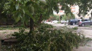 Ураган в Новосибирске. Ураган валит деревья. Ветер свалил дерево на дом.
