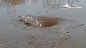 карстовые воронки на воде. снятые на камеру