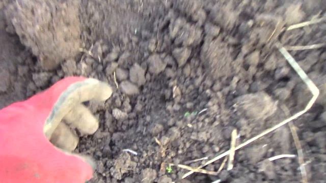 А иконка оказалась не простой смотреть онлайн