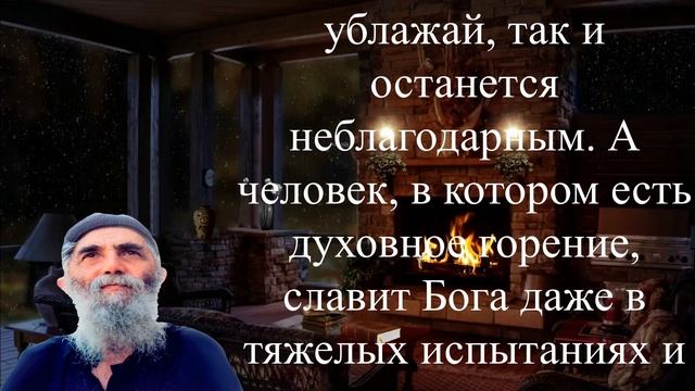 ?наука? неблагодарность? неведение? смотреть онлайн