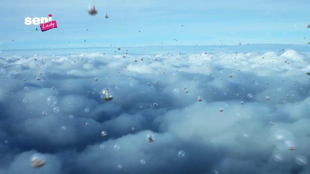 Seni Lady | Spot reklamowy смотреть онлайн