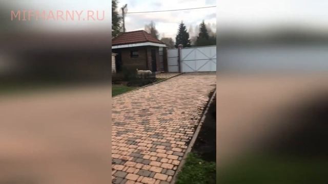Эмил Московская область г.Солнечногорск смотреть онлайн