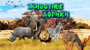 Животные Африки