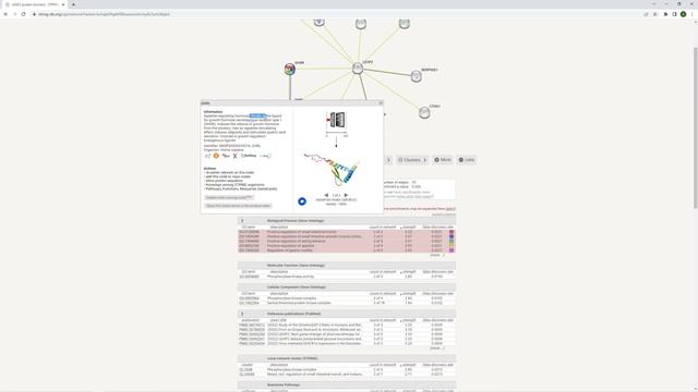 BD9. Как искать информацию о взаимодействии белков при помощи STRING смотреть онлайн