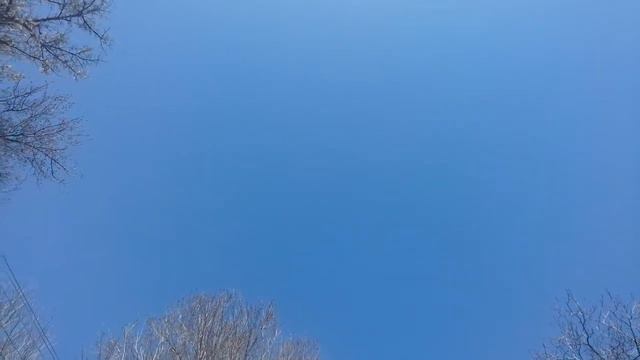 Говорим про погоду. Хорошая весенняя погода. смотреть онлайн