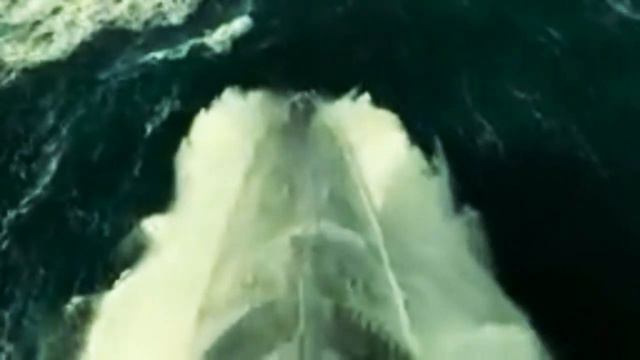 Cheb mohamed lmarnissi 2020 داها الباطوبشات السبانيا смотреть онлайн