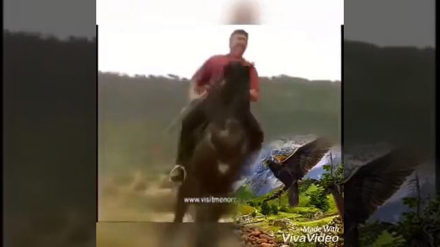 Я-осетин по нации, зовут меня Ирон... Цвети, моя Осетия-Алания моя!!!😍😍😍 смотреть онлайн