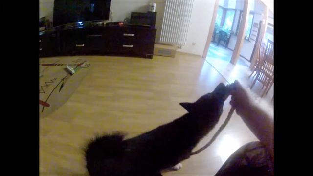 Р,ЕЛ, утро следующего дня. смотреть онлайн