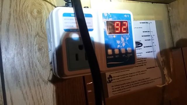 Hi pressure fog for mushrooms. Small or large room under $200 Part 1 смотреть онлайн