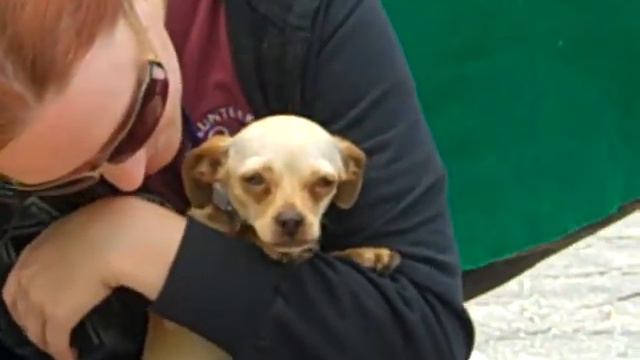 A4697920 Mooney смотреть онлайн