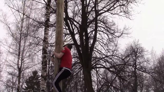 Масленица 2015. В Сергиевом Посаде смотреть онлайн