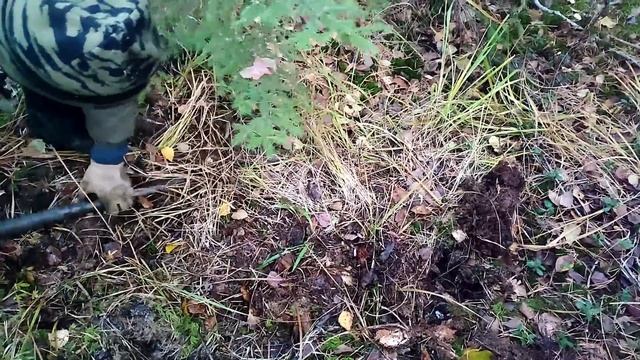 Нашли очень старую стоянку лесорубов!Такое количество металлолома находим впервые! смотреть онлайн
