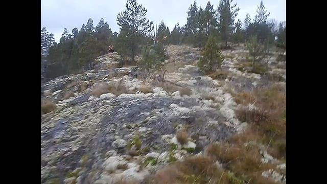 Фототур 11.11.2017. Карелия смотреть онлайн