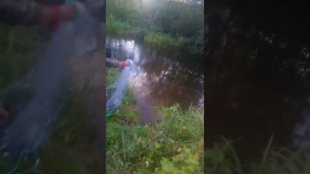 БОЛЬШАЯ РЫБАЛКА смотреть онлайн