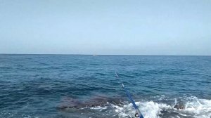 Рыбалка в Турции с берега. Как ловить рыбу в Турции. Средиземное море, ловлю с берега.