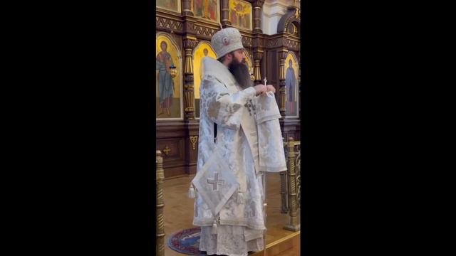 Проповедь архиепископа Антония в Дмитриеву субботу в Покровском соборе смотреть онлайн