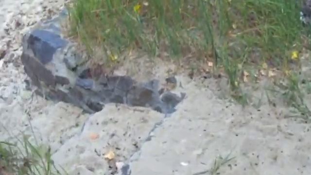 Рыбалка и отдых на Дону под Старочеркасском, правый берег, ур. Комплица смотреть онлайн