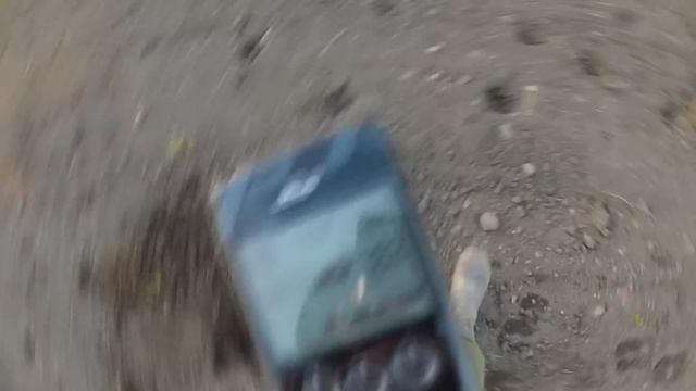 Настраиваем Xp Deus на поиск монет